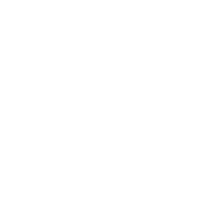 Programming Languages