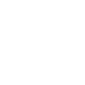 Security Solutions
