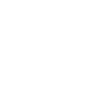 Multiplayer & Networking Tools