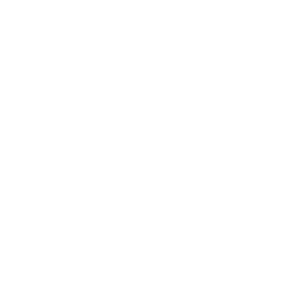 Multiplayer & Networking Tools
