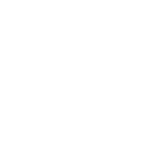 Version Control Systems